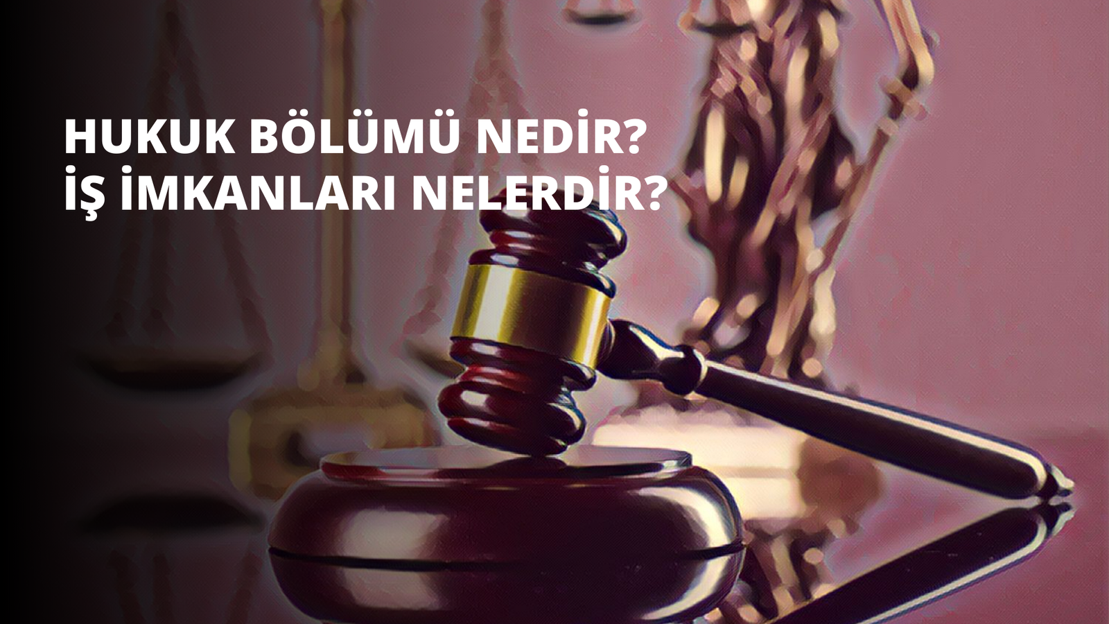Hukuk Bölümü Nedir? İş İmkanları Nelerdir?