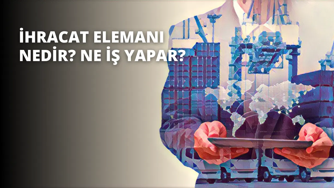 İhracat Elemanı Nedir? Ne İş Yapar?