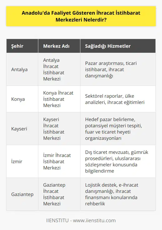 Ülkemizde farklı şehirlerde ihracat istihbarat merkezleri faaliyet gösteriyor ve sayısı giderek artmaktadır. Antalya, Konya ve Kayseri İhracat İstihbarat Merkezlerimizi buna örnek olarak belirtmemiz mümkün.