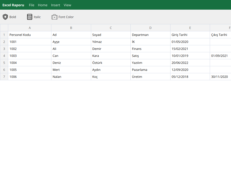 İK Uzmanları İçin Excel Raporu: Çalışan Bilgileri ve Özlük Verileri