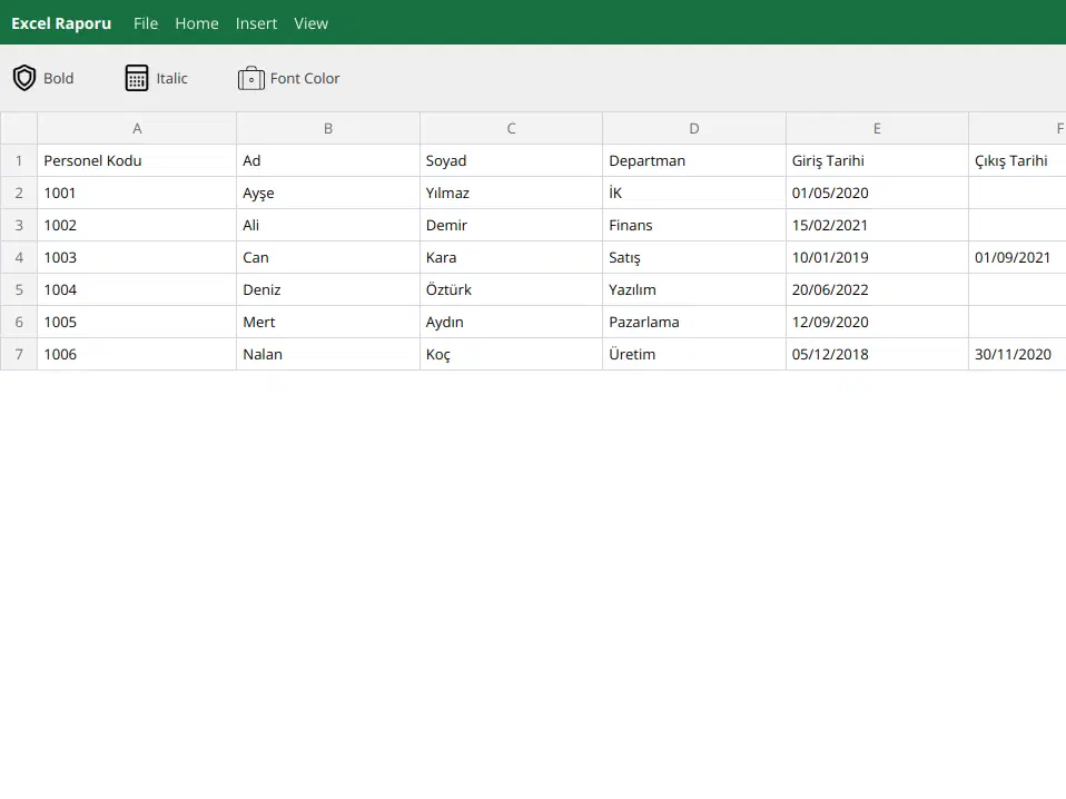 İK Uzmanları İçin Excel Raporu: Çalışan Bilgileri ve Özlük Verileri