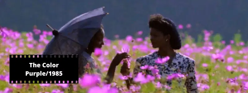 Mor Yıllar (The Color Purple)
