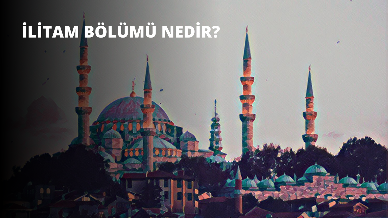 İLİTAM Bölümü Nedir?