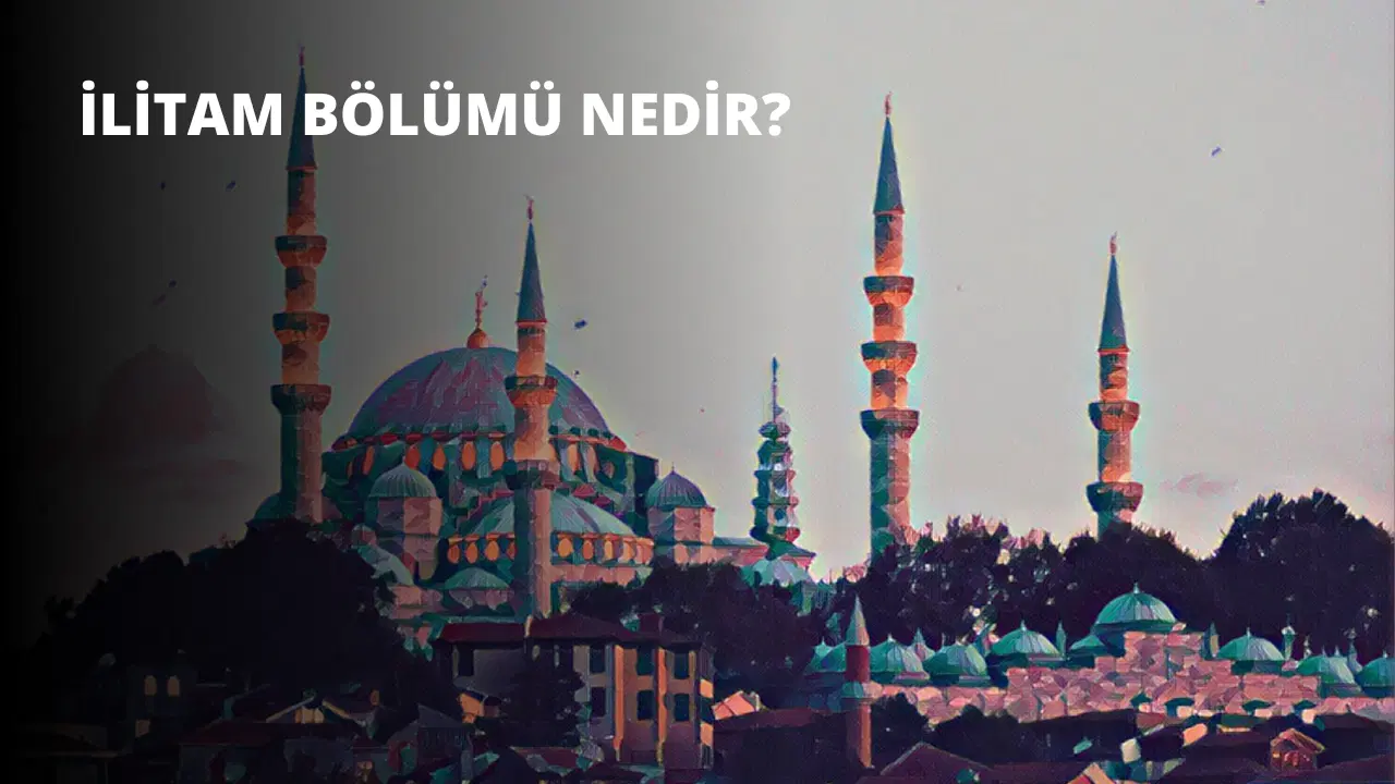 İLİTAM Bölümü Nedir?
