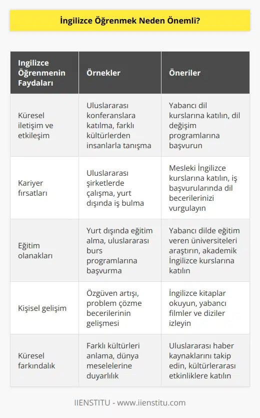 Şimdilerde tüm dünyadan erişilebilen çoğu dergi, gazete, kitap ve benzeri yazılı kaynak İngilizce olarak yayımlanıyor. İş Dünyasında başarı iletişime bağlıdır ve bu iletişim çoğu zaman İngilizce gerçekleşir.
