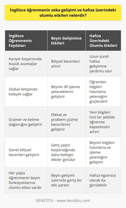 İngilizce öğrenme ve zeka gelişimi  Çoğumuz İngilizce öğrenmenin kariyer başarısı ve global iletişimde büyük avantajlar sağladığını biliyoruz. Fakat İngilizce öğrenmenin zeka gelişimi ve hafıza üzerinde olumlu etkileri de büyüktür. Beyin araştırmaları, ikinci bir dil öğrenmenin bilişsel becerileri artırdığını ve hafızayı güçlendirdiğini ortaya koymuştur.  İkinci bir dil, beynin dil işleme yeteneklerini geliştirir ve uzun süreli hafıza gelişimine yardımcı olur. Özellikle gramer ve kelime dağarcığı, dil becerilerini geliştirir ve bilişsel becerileri genel olarak geliştirir. İngilizce öğrenme, bellek, dikkat ve problem çözme becerilerini de geliştirir.   Hafıza gelişimine katkı Farklı bir dil öğrenirken, beynimiz daha önceden öğrendiği bilgileri hatırlama ve yeni bilgileri hızlı bir şekilde öğrenme konusunda daha yetenekli hale gelir. İngilizce öğrenme,    olarak da görülebilir. Çünkü yeni kelimeler ve dil bilgisi kuralları öğrenildikçe, beynimizin bu bilgileri hatırlama ve işleme yeteneği gelişir.  Dolayısıyla, İngilizce öğrenmenin faydaları sadece dil yeteneklerini geliştirmekle sınırlı olmayıp, hafıza ve genel mental yetenekler üzerinde de olumlu etkileri bulunmaktadır. Bu etkinin genç yaşta İngilizce öğrenmeye başlandığında daha belirgin olduğu bulunmuştur. Bununla birlikte, her yaşta İngilizce öğrenmenin beyin fonksiyonlarına olumlu bir etkisinin olduğu ortaya çıkmıştır. Bu, İngilizce öğrenmenin beyin gelişimi üzerindeki etkisinin geniş boyutunu vurgulamaktadır.