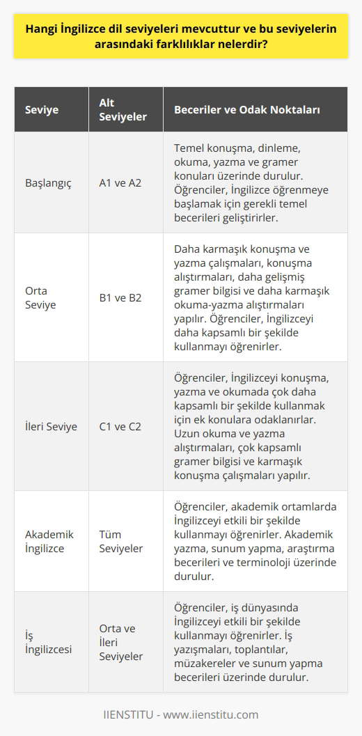 Genel İngilizce dil seviyeleri şunlardır: Başlangıç (A1 ve A2), Orta Seviye (B1 ve B2), İleri Seviye (C1 ve C2).  Başlangıç seviyesindeki öğrenciler İngilizce öğrenmek için temel konuları öğrenmeye ve temel yaklaşımları geliştirmeye çalışır. Bu seviye, konuşma, dinleme, okuma, yazma ve gramer konularını içerir.  Orta seviye, öğrencilerin İngilizceyi daha kapsamlı bir şekilde kullanmalarını sağlar. Bu seviye, daha karmaşık konuşma ve yazma çalışmaları, konuşma alıştırmaları, daha gelişmiş gramer bilgisi ve daha karmaşık okuma yazma alıştırmalarını içerir.  İleri seviyedeki öğrenciler, İngilizceyi konuşmada, yazmada ve okumada çok daha kapsamlı bir şekilde kullanmak için ek konulara odaklanır. Bu seviye,   , uzun okuma ve yazma alıştırmaları, çok kapsamlı gramer bilgisi ve karmaşık konuşma çalışmalarını içerir.