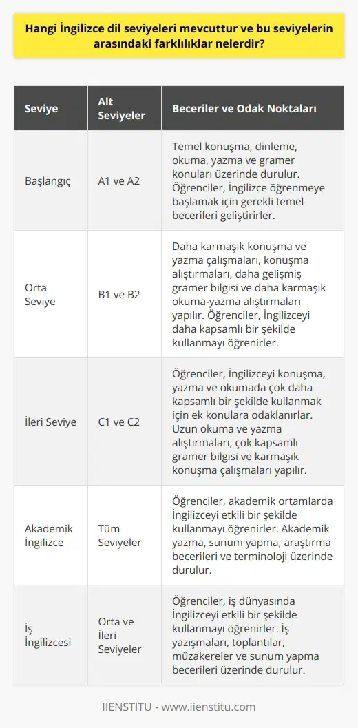 Genel İngilizce dil seviyeleri şunlardır: Başlangıç (A1 ve A2), Orta Seviye (B1 ve B2), İleri Seviye (C1 ve C2).  Başlangıç seviyesindeki öğrenciler İngilizce öğrenmek için temel konuları öğrenmeye ve temel yaklaşımları geliştirmeye çalışır. Bu seviye, konuşma, dinleme, okuma, yazma ve gramer konularını içerir.  Orta seviye, öğrencilerin İngilizceyi daha kapsamlı bir şekilde kullanmalarını sağlar. Bu seviye, daha karmaşık konuşma ve yazma çalışmaları, konuşma alıştırmaları, daha gelişmiş gramer bilgisi ve daha karmaşık okuma yazma alıştırmalarını içerir.  İleri seviyedeki öğrenciler, İngilizceyi konuşmada, yazmada ve okumada çok daha kapsamlı bir şekilde kullanmak için ek konulara odaklanır. Bu seviye,   , uzun okuma ve yazma alıştırmaları, çok kapsamlı gramer bilgisi ve karmaşık konuşma çalışmalarını içerir.