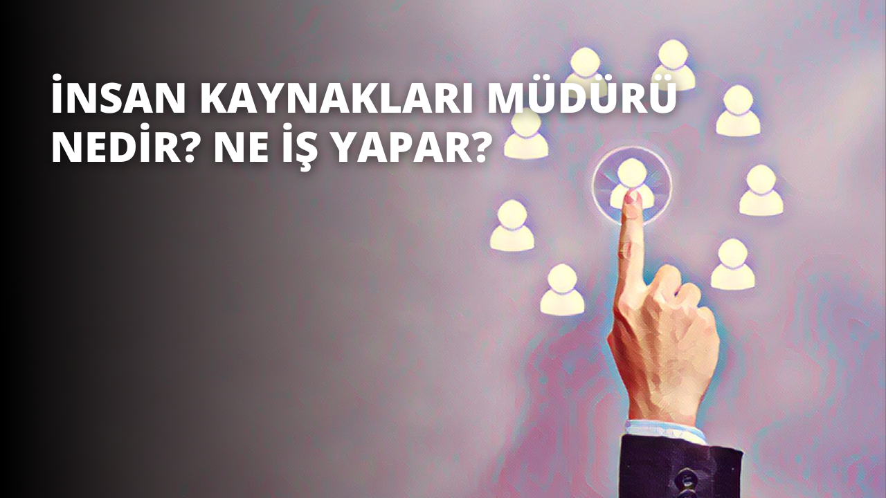 İnsan Kaynakları Müdürü Nedir? Ne İş Yapar?