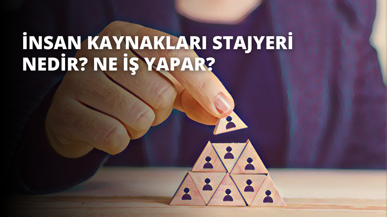İnsan Kaynakları Stajyeri Nedir? Ne İş Yapar?