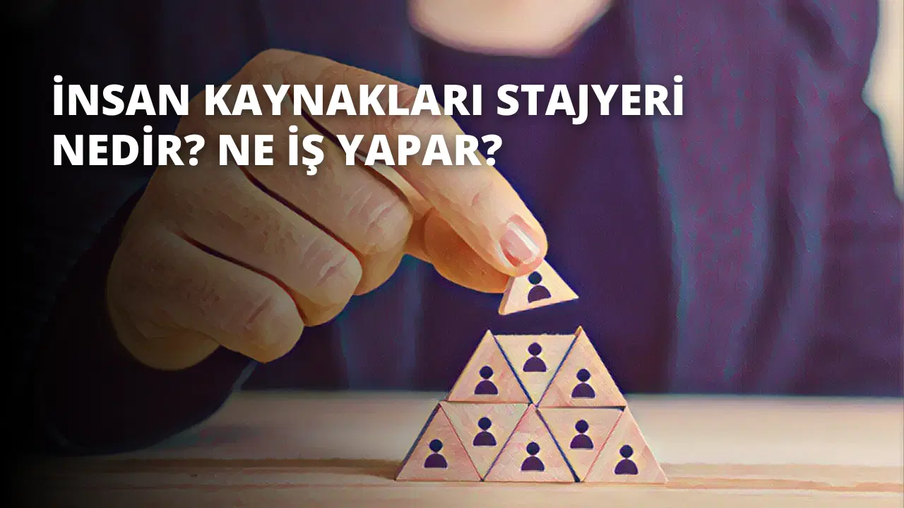 İnsan Kaynakları Stajyeri Nedir? Ne İş Yapar?