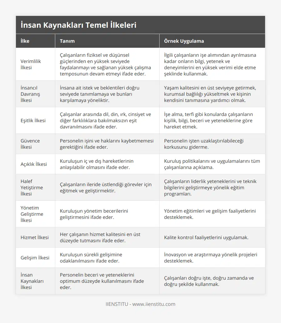 Verimlilik İlkesi, Çalışanların fiziksel ve düşünsel güçlerinden en yüksek seviyede faydalanmayı ve sağlanan yüksek çalışma temposunun devam etmeyi ifade eder, İlgili çalışanların işe alımından ayrılmasına kadar onların bilgi, yetenek ve deneyimlerini en yüksek verimi elde etme şeklinde kullanmak, İnsancıl Davranış İlkesi, İnsana ait istek ve beklentileri doğru seviyede tanımlamaya ve bunları karşılamaya yöneliktir, Yaşam kalitesini en üst seviyeye getirmek, kurumsal bağlılığı yükseltmek ve kişinin kendisini tanımasına yardımcı olmak, Eşitlik İlkesi, Çalışanlar arasında dil, din, ırk, cinsiyet ve diğer farklılıklara bakılmaksızın eşit davranılmasını ifade eder, İşe alma, terfi gibi konularda çalışanların kişilik, bilgi, beceri ve yeteneklerine göre hareket etmek, Güvence İlkesi, Personelin işini ve haklarını kaybetmemesi gerektiğini ifade eder, Personelin işten uzaklaştırılabileceği korkusunu giderme, Açıklık İlkesi, Kuruluşun iç ve dış hareketlerinin anlaşılabilir olmasını ifade eder, Kuruluş politikalarını ve uygulamalarını tüm çalışanlarına açıklama, Halef Yetiştirme İlkesi, Çalışanların ileride üstlendiği görevler için eğitmek ve geliştirmektir, Çalışanların liderlik yeteneklerini ve teknik bilgilerini geliştirmeye yönelik eğitim programları, Yönetim Geliştirme İlkesi, Kuruluşun yönetim becerilerini geliştirmesini ifade eder, Yönetim eğitimleri ve gelişim faaliyetlerini desteklemek, Hizmet İlkesi, Her çalışanın hizmet kalitesini en üst düzeyde tutmasını ifade eder, Kalite kontrol faaliyetlerini uygulamak, Gelişim İlkesi, Kuruluşun sürekli gelişimine odaklanılmasını ifade eder, İnovasyon ve araştırmaya yönelik projeleri desteklemek, İnsan Kaynakları İlkesi, Personelin beceri ve yeteneklerini optimum düzeyde kullanılmasını ifade eder, Çalışanları doğru işte, doğru zamanda ve doğru şekilde kullanmak