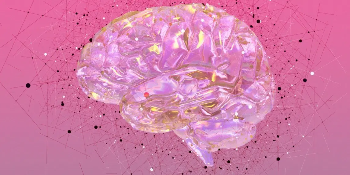 İnsanlar Yeni Kelimeleri Nasıl Öğrenir?