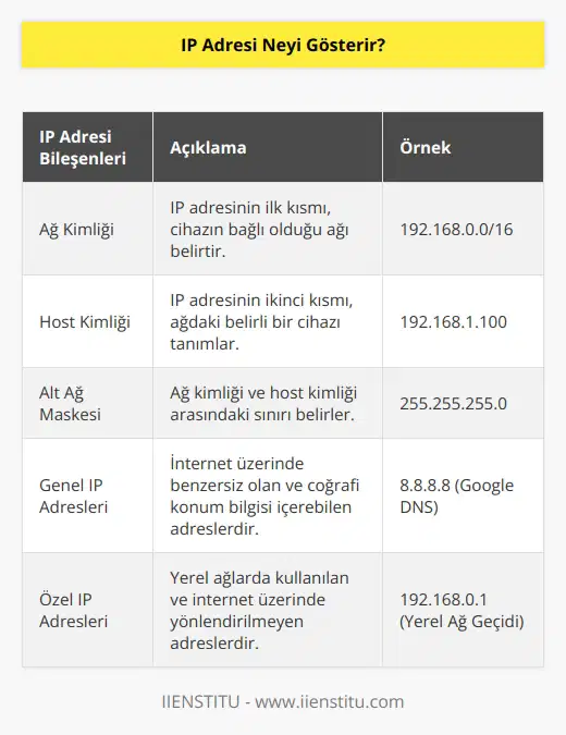 Bu adres internet üzerinde işlem yapan bilgisayarın sahip olduğu protokol numarasını gösterir. Bu numaraya göre cihazın bulunduğu konum ve yaptığı işlemler tespit edilebilir. Ayrıca bu adresler iki farklı cihazlar arasında iletişim sağlanmaktadır.