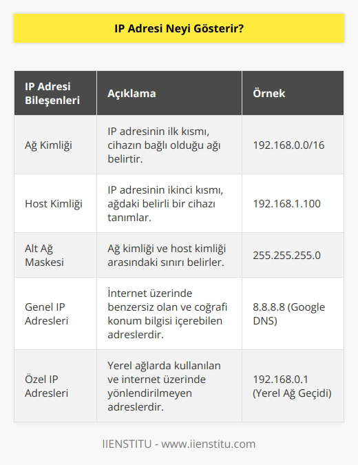 Bu adres internet üzerinde işlem yapan bilgisayarın sahip olduğu protokol numarasını gösterir. Bu numaraya göre cihazın bulunduğu konum ve yaptığı işlemler tespit edilebilir. Ayrıca bu adresler iki farklı cihazlar arasında iletişim sağlanmaktadır.