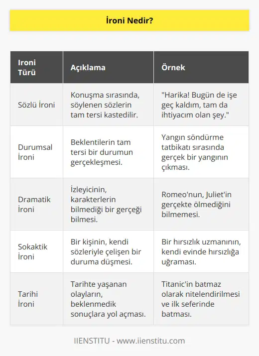 İroni, dilin en etkili silahlarından biridir. Söylenmek istenen şeyin tam tersinin ifade edildiği, alayın ve söz sanatının kullanıldığı ifadeler “ironi” olarak tanımlanır. Mizahtan farklı olarak ironi daha eleştirel bir yaklaşımdır.