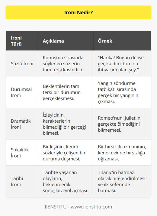 İroni, dilin en etkili silahlarından biridir. Söylenmek istenen şeyin tam tersinin ifade edildiği, alayın ve söz sanatının kullanıldığı ifadeler “ironi” olarak tanımlanır. Mizahtan farklı olarak ironi daha eleştirel bir yaklaşımdır.