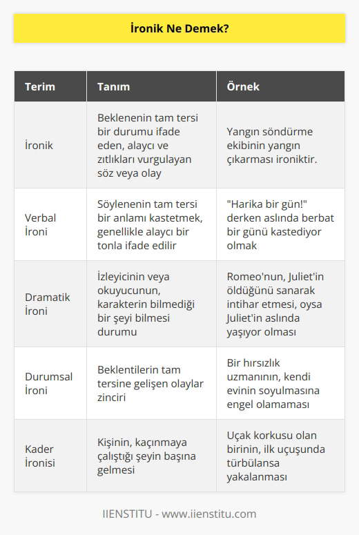 İronik, ironi içeren durum veya olayı tanımlamak için kullanılan ifadedir. İroni içeren bir söz ironik olabilir. Benzer şekilde ironi özelliklerini taşıyan durumlar da “ironik” olarak adlandırılır.