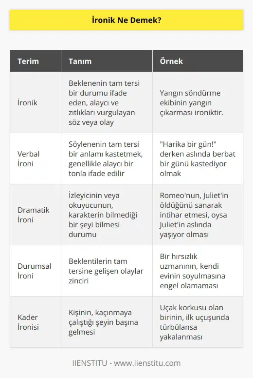 İronik, ironi içeren durum veya olayı tanımlamak için kullanılan ifadedir. İroni içeren bir söz ironik olabilir. Benzer şekilde ironi özelliklerini taşıyan durumlar da “ironik” olarak adlandırılır.