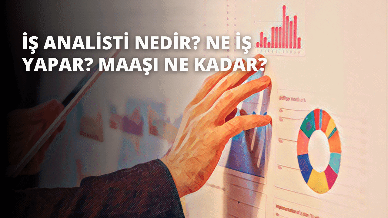 İş Analisti Nedir? Ne İş Yapar? Maaşı Ne Kadar?