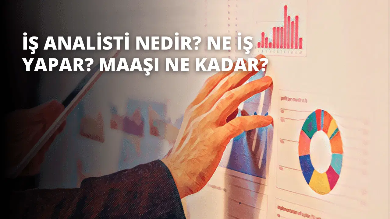 İş Analisti Nedir? Ne İş Yapar? Maaşı Ne Kadar?