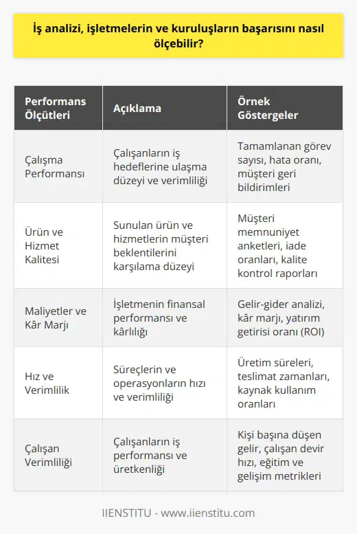 İş analizi, işletmelerin ve kuruluşların başarısını ölçmek için farklı yöntemler ve araçlar kullanır. Bunlar, örneğin, çalışma performansı, ürün ve hizmet kalitesi, maliyetler, kar marjı, müşteri memnuniyeti, hız ve verimlilik, üretim süreleri, sorun çözme becerileri ve çalışanların verimliliği gibi ölçümleri içerir. Bunların tamamı, işletmelerin ve kuruluşların başarısının ölçümü için kullanılabilecek araçlardır.