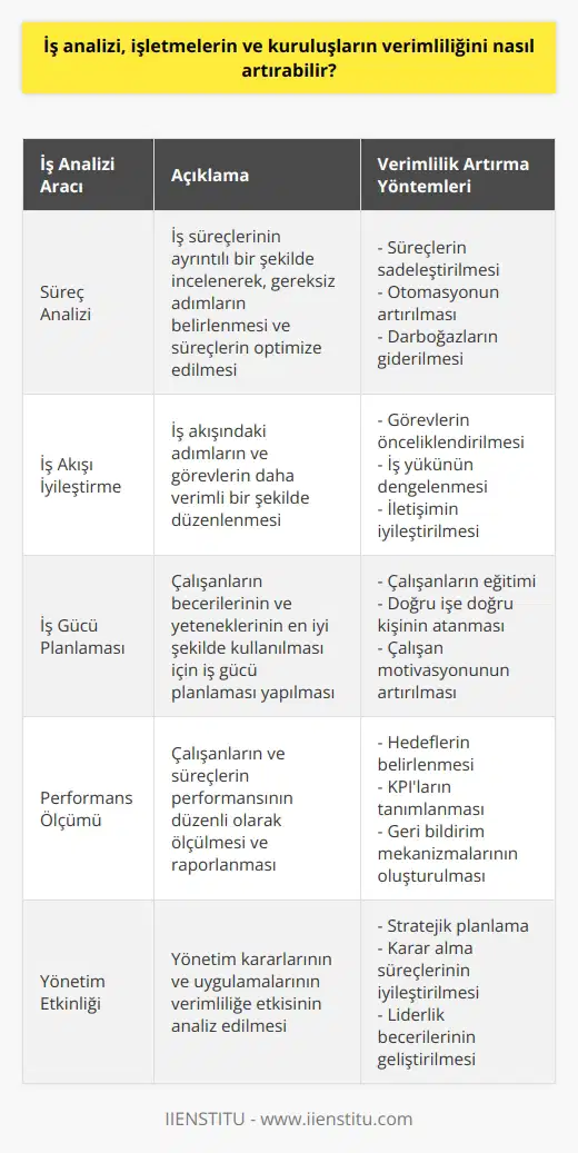 İş analizi, işletmelerin ve kuruluşların verimliliğini artırmak için birçok farklı araç ve teknikleri kullanarak işleri optimize edebilir. Bunlar, iş süreçlerinin analiz edilmesi, iş akışının iyileştirilmesi, iş gücünün etkin kullanımı, çalışanların eğitiminin verilmesi veya yönetimin etkinliğinin arttırılması gibi birçok alanda kullanılabilmektedir. İş analizi, gerekli veri toplama, raporlama ve ölçümlerin yapılmasını gerektirerek, firmanın karlılığını, operasyonlarını ve çalışanlarının performansını artırmaya yardımcı olabilmektedir.