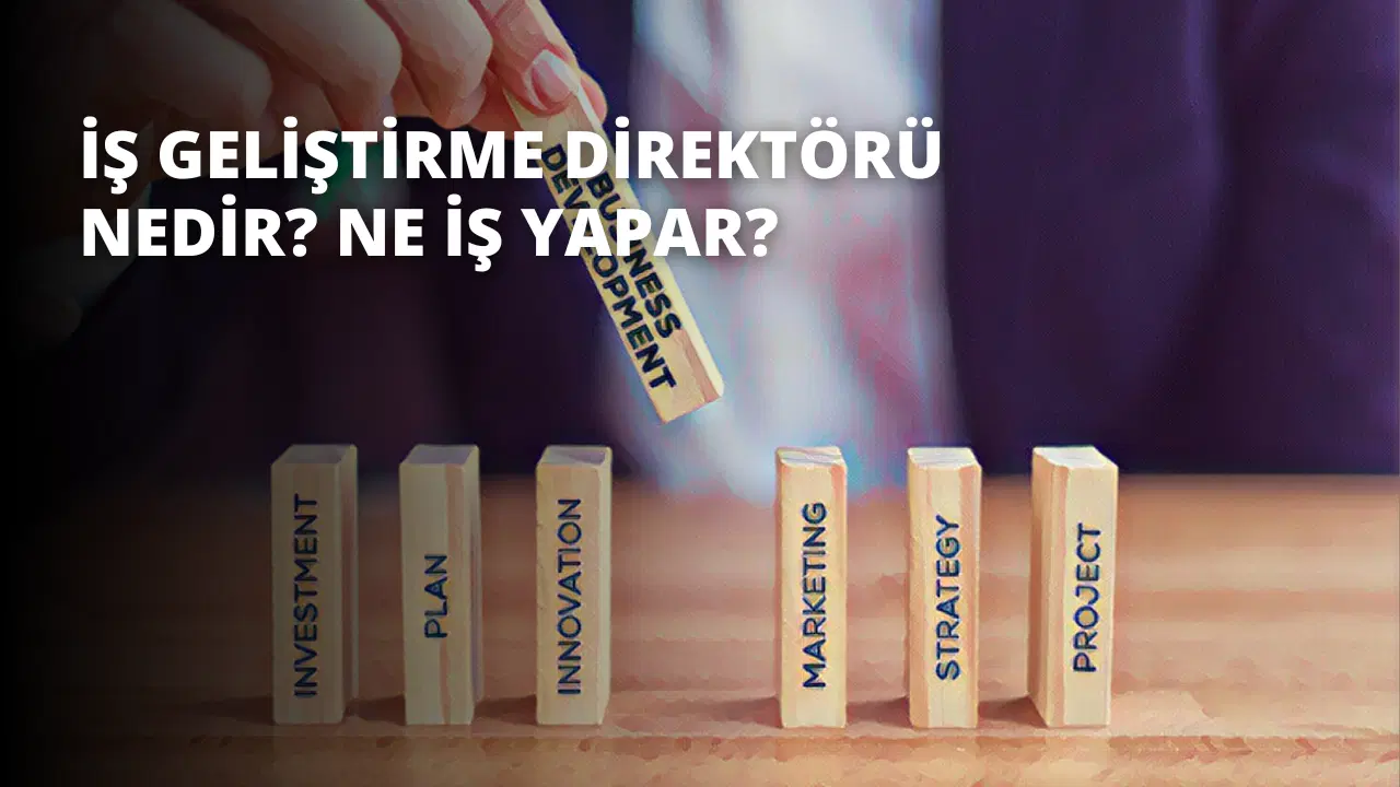 İş Geliştirme Direktörü Nedir? Ne İş Yapar?
