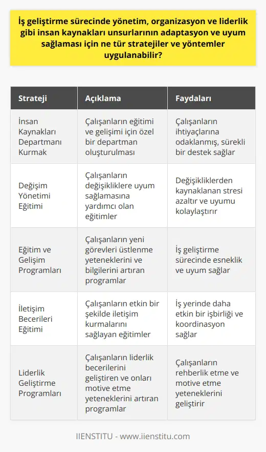 İş geliştirme sürecinde yönetim, organizasyon ve liderlik gibi insan kaynakları unsurlarının adaptasyon ve uyum sağlaması için bir dizi strateji ve yöntemler uygulanabilir. Bu stratejilerin belirlemesi ve uygulanabilmesi için human resources departmanları kurulmalıdır. Bu departman sürekli olarak çalışanların eğitimine ve gelişimine öncelik vermeli ve desteklemelidir. Değişim yönetimi, eğitim ve gelişim, iletişim becerileri ve    gibi çeşitli programlar yürütülebilir.  Eğitim ve gelişim, çalışanların yeni görevleri üstlenme yeteneklerini ve bilgilerini artırmalarını sağlar. Bu, iş geliştirme sürecinde esneklik ve uyum sağlamalarına yardımcı olur. Değişim yönetimi eğitimi, çalışanların değişikliklere uyum sağlamalarını ve değişikliklerden kaynaklanabilecek stresi azaltmalarını destekler.  İletişim becerileri eğitimi, çalışanların iş geliştirme sürecinde etkin bir şekilde iletişim kurmalarını sağlar. Bu da iş yerinde daha etkin bir işbirliği ve koordinasyon sağlar.   , çalışanların liderlik becerilerini geliştirir ve onları çalışma arkadaşlarına rehberlik etme ve onları motive etme yeteneklerine sahip olmalarını sağlar.  Bu stratejiler, çalışanlarda adaptasyon ve uyum yeteneklerini geliştirmeye yardımcı olur. Bu da iş geliştirme sürecinin daha etkin ve verimli hale gelmesine yardımcı olur. İşin içinde bulunan tüm çalışanlar sürecin bir parçasıdır ve bu stratejilerin uygulamaları, genel akışın sorunsuz ilerlemesini sağlar. Böylece kurumlar, iş geliştirme ve müşteri ilişkileri hedeflerine ulaşabilir.