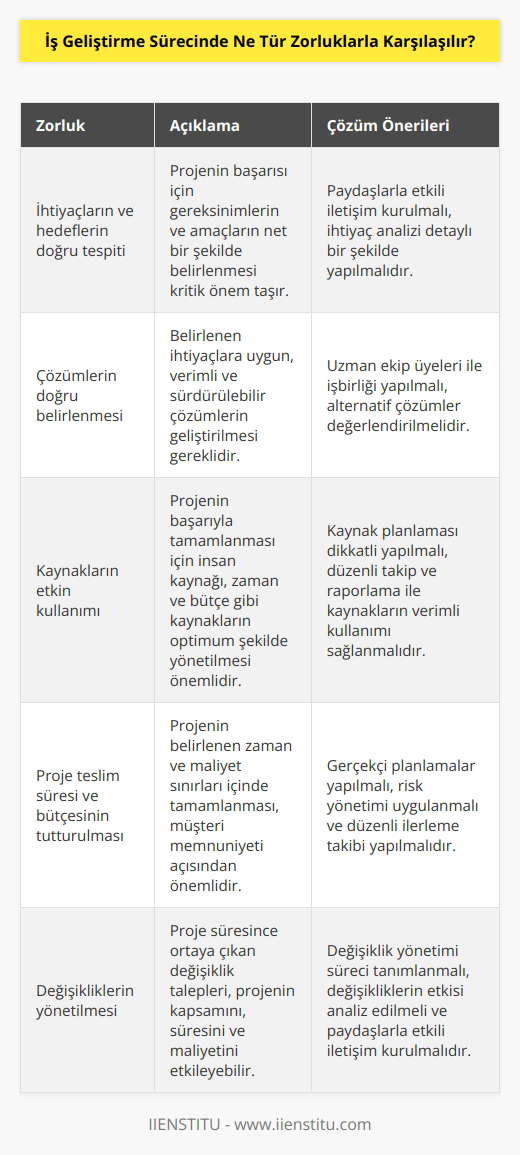 İş geliştirme sürecinde karşılaşılan zorluklar arasında öncelikle, ihtiyaçların ve hedeflerin doğru tespiti, çözümlerin doğru belirlenmesi, kaynakların etkin kullanımı, projenin teslim süresinin ve bütçesinin tutturulması, kaliteyi sağlamak, karşılıklı anlayış ve uyum sağlanması, değişikliklerin yönetilmesi ve değişikliklerin yönetilmesi sayılabilir.