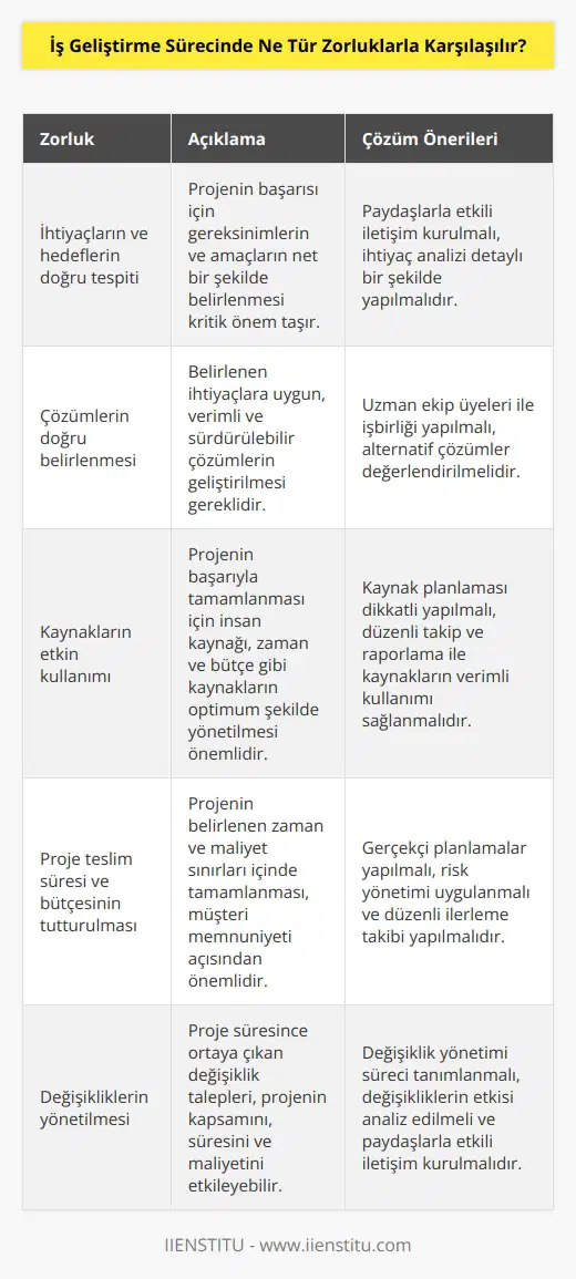 İş geliştirme sürecinde karşılaşılan zorluklar arasında öncelikle, ihtiyaçların ve hedeflerin doğru tespiti, çözümlerin doğru belirlenmesi, kaynakların etkin kullanımı, projenin teslim süresinin ve bütçesinin tutturulması, kaliteyi sağlamak, karşılıklı anlayış ve uyum sağlanması, değişikliklerin yönetilmesi ve değişikliklerin yönetilmesi sayılabilir.