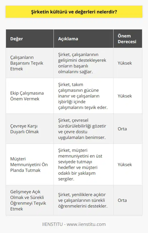 Şirketin kültürü ve değerleri, çalışanlarının başarısını teşvik etmek, ekip çalışmasına önem vermek, çevreye karşı duyarlı olmak, müşteri memnuniyetini ön planda tutmak, gelişmeye açık olmak ve sürekli öğrenmeyi teşvik etmektir. Bunların yanı sıra, şirket özgüvene, saygıya, iyi iletişime ve üretkenliğe de önem vermektedir.
