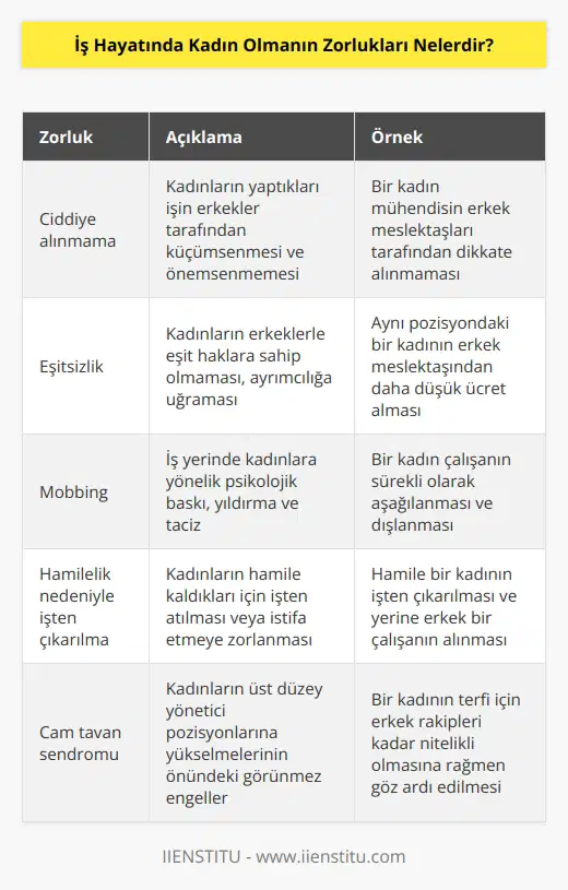 Yaptıkları işin yeterince ciddiye alınmaması, eşitlik haklarına sahip olunmaması, mobbing ve hamile kaldığı için işten çıkarılması kadınların iş hayatındaki yaşadığı zorluklardan bazılarıdır.