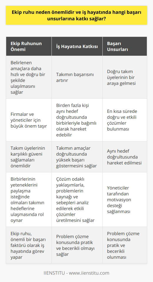 Neden Önemlidir?  , iş hayatında önemlidir çünkü etkili    sayesinde belirlenen amaçlara daha hızlı ve doğru bir şekilde ulaşılır. Bu durum, firmalar ve yöneticiler için büyük bir önem taşır. Ekip ruhu oluştuğu zaman nın başarısı artar ve birden fazla kişi aynı hedef doğrultusunda birbirleriyle bağımlı olarak hareket edebilir. Takım üyelerinin karşılıklı güveni sağlamaları ve birbirlerinin yeteneklerini paylaşma isteğinde olmaları, takımın hedeflerine yönelik çalışmalarında önemli rol oynar.  Ekip Ruhunun Başarı Unsurlarına Katkısı  Ekip ruhunun iş hayatında başarı unsurlarına katkısı, takımın amaçlar doğrultusunda yüksek başarı göstermesine yönelik özellikler taşıması ile ilişkilendirilebilir. Başarılı nın temel unsurları şunlardır:  1. Doğru takım üyelerinin bir araya gelmesi: Takımın üyelerinin eğitim, beceri ve uzmanlık alanları doğru bir şekilde seçilmeli ve takıma dahil edilmelidir.  2.  gerçekleştirilirken en kısa sürede doğru ve etkili çözümler bulunması: Çözüm odaklı yaklaşımlarla, problemlerin kaynağı ve sebepleri analiz edilerek etkili çözümler üretilmelidir.  3. Aynı hedef doğrultusunda hareket edilmesi: Takım üyelerinin aynı hedeflere yönelik çalışmalar gerçekleştirmesi ve yönetime sunulan çözümlerle uyumlu olması önemlidir.  4. Yöneticiler tarafından motivasyon desteği sağlanması: Takım üyelerinin motivasyonlarını yüksek tutarak, çalışma başarılarını artıracak destekler sağlanmalıdır.  5. Problem çözme konusunda pratik ve becerikli olunması: Takım, işletme içinde yaşanan problemlere ve krizlere çözüm odaklı yaklaşarak, etkili kararlar almalı ve uygulayıcı yaptırımları kullanabilmelidir.  Tüm bu başarı unsurları ve özellikler, ekip ruhunun güçlü olduğu takımlarda daha fazla görülür ve takımın başarıları çoğalarak daha etkili çalışma şartlarına ulaşılır. Böylelikle, ekip ruhu önemli bir başarı faktörü olarak iş hayatında görev yapar.