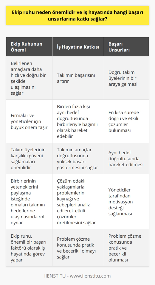 Neden Önemlidir?  , iş hayatında önemlidir çünkü etkili    sayesinde belirlenen amaçlara daha hızlı ve doğru bir şekilde ulaşılır. Bu durum, firmalar ve yöneticiler için büyük bir önem taşır. Ekip ruhu oluştuğu zaman nın başarısı artar ve birden fazla kişi aynı hedef doğrultusunda birbirleriyle bağımlı olarak hareket edebilir. Takım üyelerinin karşılıklı güveni sağlamaları ve birbirlerinin yeteneklerini paylaşma isteğinde olmaları, takımın hedeflerine yönelik çalışmalarında önemli rol oynar.  Ekip Ruhunun Başarı Unsurlarına Katkısı  Ekip ruhunun iş hayatında başarı unsurlarına katkısı, takımın amaçlar doğrultusunda yüksek başarı göstermesine yönelik özellikler taşıması ile ilişkilendirilebilir. Başarılı nın temel unsurları şunlardır:  1. Doğru takım üyelerinin bir araya gelmesi: Takımın üyelerinin eğitim, beceri ve uzmanlık alanları doğru bir şekilde seçilmeli ve takıma dahil edilmelidir.  2.  gerçekleştirilirken en kısa sürede doğru ve etkili çözümler bulunması: Çözüm odaklı yaklaşımlarla, problemlerin kaynağı ve sebepleri analiz edilerek etkili çözümler üretilmelidir.  3. Aynı hedef doğrultusunda hareket edilmesi: Takım üyelerinin aynı hedeflere yönelik çalışmalar gerçekleştirmesi ve yönetime sunulan çözümlerle uyumlu olması önemlidir.  4. Yöneticiler tarafından motivasyon desteği sağlanması: Takım üyelerinin motivasyonlarını yüksek tutarak, çalışma başarılarını artıracak destekler sağlanmalıdır.  5. Problem çözme konusunda pratik ve becerikli olunması: Takım, işletme içinde yaşanan problemlere ve krizlere çözüm odaklı yaklaşarak, etkili kararlar almalı ve uygulayıcı yaptırımları kullanabilmelidir.  Tüm bu başarı unsurları ve özellikler, ekip ruhunun güçlü olduğu takımlarda daha fazla görülür ve takımın başarıları çoğalarak daha etkili çalışma şartlarına ulaşılır. Böylelikle, ekip ruhu önemli bir başarı faktörü olarak iş hayatında görev yapar.