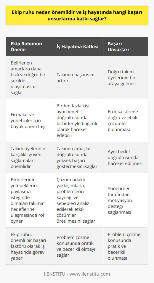Neden Önemlidir? , iş hayatında önemlidir çünkü etkili sayesinde belirlenen amaçlara daha hızlı ve doğru bir şekilde ulaşılır. Bu durum, firmalar ve yöneticiler için büyük bir önem taşır. Ekip ruhu oluştuğu zaman nın başarısı artar ve birden fazla kişi aynı hedef doğrultusunda birbirleriyle bağımlı olarak hareket edebilir. Takım üyelerinin karşılıklı güveni sağlamaları ve birbirlerinin yeteneklerini paylaşma isteğinde olmaları, takımın hedeflerine yönelik çalışmalarında önemli rol oynar. Ekip Ruhunun Başarı Unsurlarına Katkısı Ekip ruhunun iş hayatında başarı unsurlarına katkısı, takımın amaçlar doğrultusunda yüksek başarı göstermesine yönelik özellikler taşıması ile ilişkilendirilebilir. Başarılı nın temel unsurları şunlardır: 1. Doğru takım üyelerinin bir araya gelmesi: Takımın üyelerinin eğitim, beceri ve uzmanlık alanları doğru bir şekilde seçilmeli ve takıma dahil edilmelidir. 2. gerçekleştirilirken en kısa sürede doğru ve etkili çözümler bulunması: Çözüm odaklı yaklaşımlarla, problemlerin kaynağı ve sebepleri analiz edilerek etkili çözümler üretilmelidir. 3. Aynı hedef doğrultusunda hareket edilmesi: Takım üyelerinin aynı hedeflere yönelik çalışmalar gerçekleştirmesi ve yönetime sunulan çözümlerle uyumlu olması önemlidir. 4. Yöneticiler tarafından motivasyon desteği sağlanması: Takım üyelerinin motivasyonlarını yüksek tutarak, çalışma başarılarını artıracak destekler sağlanmalıdır. 5. Problem çözme konusunda pratik ve becerikli olunması: Takım, işletme içinde yaşanan problemlere ve krizlere çözüm odaklı yaklaşarak, etkili kararlar almalı ve uygulayıcı yaptırımları kullanabilmelidir. Tüm bu başarı unsurları ve özellikler, ekip ruhunun güçlü olduğu takımlarda daha fazla görülür ve takımın başarıları çoğalarak daha etkili çalışma şartlarına ulaşılır. Böylelikle, ekip ruhu önemli bir başarı faktörü olarak iş hayatında görev yapar.