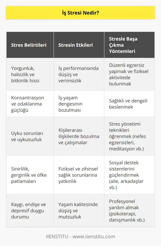 İş stresi insan hayatını etkileyen, iş yaşamını sancılı bir sürece götüren, işi zorlaştıran ve bizi yıpratan psikolojik çöküntü halidir.