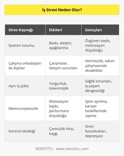 İş stresinin temelini oluşturan etkiler tek taraflı değildir bu sürece gelmek; işveren, çalışma arkadaşları, bunlardan ortaya çıkan baskılar, eleştiriler, aşağılanma, fazla iş yükü, memnuniyetsizlik gibi durumlar fazlasıyla etki gösteriyor.