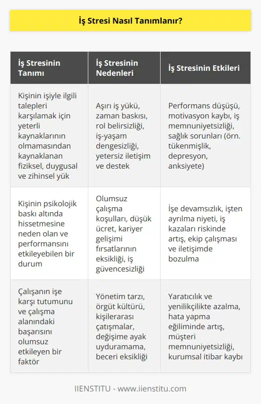 İş stresi, kişinin çalışma ya da mesleki rolünün gerektirdiği taleplerle baş etmek için yeterli kaynaklarının olmamasından kaynaklanan fiziksel, duygusal ve zihinsel bir yük olarak tanımlanır. İş stresi, kişinin performansını etkileyebilecek düzeyde psikolojik baskıya neden olur ve çalışanın işe karşı tutumunu ve çalışma alanındaki başarısını olumsuz etkileyebilir.