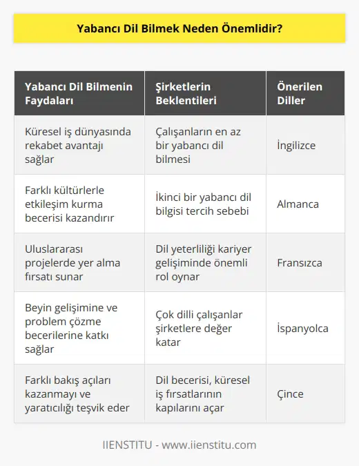 Şirketlerin çoğu çalışanların mutlaka yabancı dil bilmesini istiyor. Günümüzde uzun zamandır işverenler işe alacağı personelde ikinci bir yabancı dil arayışına da geçmiş durumda. İngilizcenin dışında ikinci bir yabancı diliniz varsa şirketlerin gözünde daha değerli olmanız mümkün.