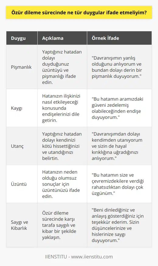 Özür dileme sürecinde, pişmanlık, kaygı, utanç ve üzüntü gibi duyguları ifade etmelisiniz. Ayrıca, özür dileme sürecinde takdir edilmesi gereken kibarlık ve saygıyı da göstermelisiniz.