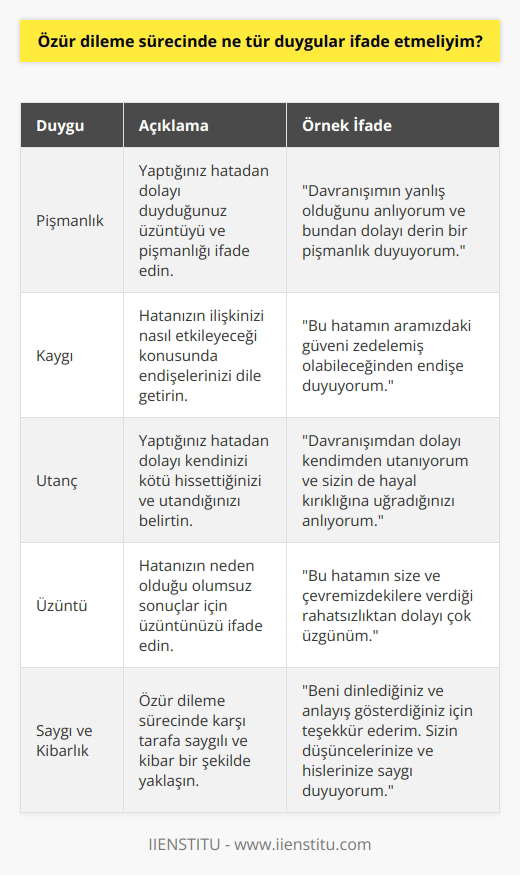 Özür dileme sürecinde, pişmanlık, kaygı, utanç ve üzüntü gibi duyguları ifade etmelisiniz. Ayrıca, özür dileme sürecinde takdir edilmesi gereken kibarlık ve saygıyı da göstermelisiniz.