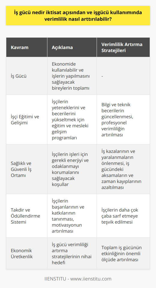 İktisat açısından, iş gücü, ekonomide kullanılabilir ve işlerin yapılmasını sağlayacak bireylerin toplamıdır. İş gücü, ekonomide üretken olan ve üretim süreçlerine katılan insanları temsil eder. İş gücü kullanımında verimliliği artırmak için birkaç stratejiyi uygulamak mümkündür.  Öncelikle, işçilerin yeteneklerini ve becerilerini yükseltmek verimliliği artıracaktır. Bu genellikle eğitim ve mesleki gelişim programları aracılığıyla yapılır. İşçilerin bilgilerini ve teknik becerilerini güncelleme yeteneği profesyonel verimliliklerini artırabilir.  İkinci olarak, işyerinde sağlıklı ve güvenli bir ortam sağlamak da iş gücü verimliliğini artırır. İşçiler, işleri için gerekli enerjiyi ve odaklanmayı korumalarını sağlayacak koşullarda çalışmalıdır. Ayrıca işyerinde yaşanan kazaların ve yaralanmaların önlenmesi, işçinin iş gücündeki aksamaları ve zaman kayıplarını azaltır.  Son olarak, doğru iş takdir ve ödüllendirme sistemi iş gücü verimliliğini destekler. İşçiler, başarılarının ve katkılarının tanınmasıyla motive olurlar. Bu tür bir ödüllendirme sistemi, işçileri daha çok çaba sarf etmeye teşvik eder.  Sonuç olarak, iş gücü verimliliğini artırmak için işverenlerin işçi eğitimi ve gelişimi, sağlıklı ve güvenli bir iş ortamı ve etkili bir ödüllendirme sistemi üzerinde durmaları önemlidir. Bu stratejiler, ekonomik üretkenliği ve toplam iş gücünün etkinliğini önemli ölçüde artırabilir.