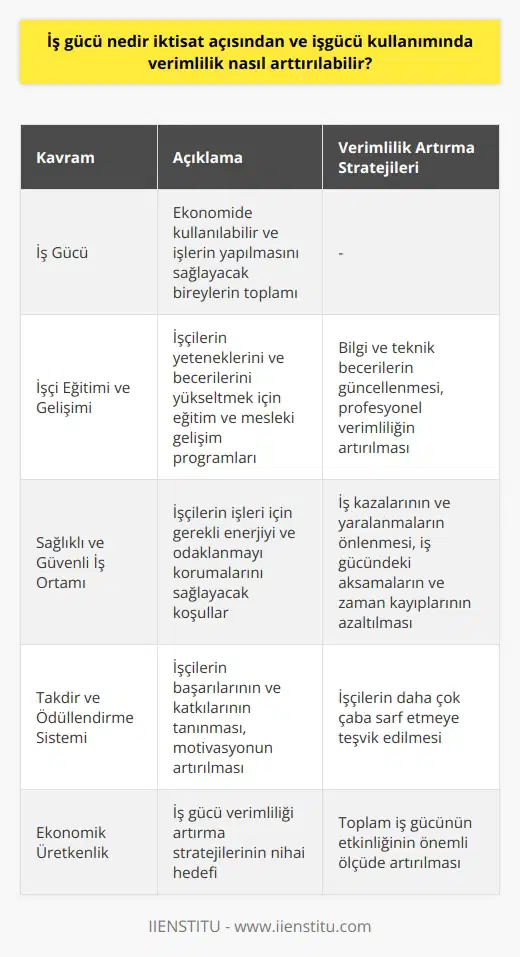 İktisat açısından, iş gücü, ekonomide kullanılabilir ve işlerin yapılmasını sağlayacak bireylerin toplamıdır. İş gücü, ekonomide üretken olan ve üretim süreçlerine katılan insanları temsil eder. İş gücü kullanımında verimliliği artırmak için birkaç stratejiyi uygulamak mümkündür.  Öncelikle, işçilerin yeteneklerini ve becerilerini yükseltmek verimliliği artıracaktır. Bu genellikle eğitim ve mesleki gelişim programları aracılığıyla yapılır. İşçilerin bilgilerini ve teknik becerilerini güncelleme yeteneği profesyonel verimliliklerini artırabilir.  İkinci olarak, işyerinde sağlıklı ve güvenli bir ortam sağlamak da iş gücü verimliliğini artırır. İşçiler, işleri için gerekli enerjiyi ve odaklanmayı korumalarını sağlayacak koşullarda çalışmalıdır. Ayrıca işyerinde yaşanan kazaların ve yaralanmaların önlenmesi, işçinin iş gücündeki aksamaları ve zaman kayıplarını azaltır.  Son olarak, doğru iş takdir ve ödüllendirme sistemi iş gücü verimliliğini destekler. İşçiler, başarılarının ve katkılarının tanınmasıyla motive olurlar. Bu tür bir ödüllendirme sistemi, işçileri daha çok çaba sarf etmeye teşvik eder.  Sonuç olarak, iş gücü verimliliğini artırmak için işverenlerin işçi eğitimi ve gelişimi, sağlıklı ve güvenli bir iş ortamı ve etkili bir ödüllendirme sistemi üzerinde durmaları önemlidir. Bu stratejiler, ekonomik üretkenliği ve toplam iş gücünün etkinliğini önemli ölçüde artırabilir.