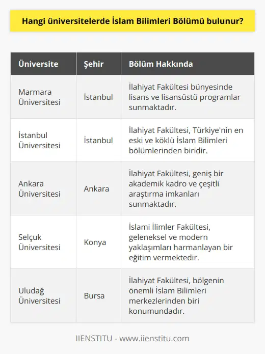 Marmara Üniversitesi, İstanbul Üniversitesi, Gazi Üniversitesi, Yıldız Teknik Üniversitesi, İstanbul Medeniyet Üniversitesi, Ankara Üniversitesi, Selçuk Üniversitesi, Necmettin Erbakan Üniversitesi, İzmir Ekonomi Üniversitesi, Adnan Menderes Üniversitesi, Beykent Üniversitesi, Ege Üniversitesi, Uludağ Üniversitesi, Boğaziçi Üniversitesi gibi üniversitelerde İslam Bilimleri Bölümü bulunmaktadır.