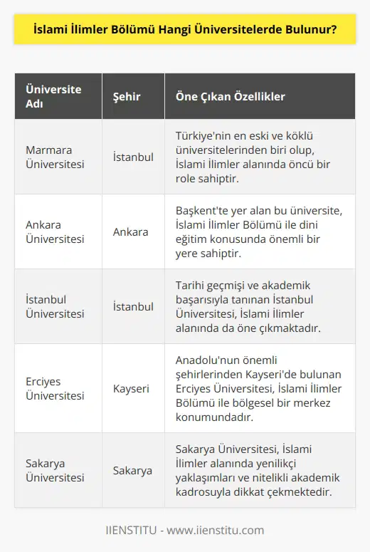 İslami İlimler Bölümü Türkiyede çok sayıda üniversitede bulunmaktadır. Bu üniversiteler arasında Marmara Üniversitesi, Ankara Üniversitesi, İstanbul Üniversitesi, İzmir Ekonomi Üniversitesi, Dokuz Eylül Üniversitesi, Yıldız Teknik Üniversitesi, Nişantaşı Üniversitesi, İstanbul Aydın Üniversitesi, İstanbul Medeniyet Üniversitesi, Erciyes Üniversitesi, Yeditepe Üniversitesi, Gazi Üniversitesi, İstanbul Şehir Üniversitesi, Atatürk Üniversitesi, Sakarya Üniversitesi ve Çukurova Üniversitesi sayılabilir.