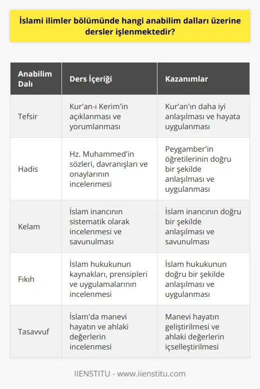 İslami İlimler Bölümünde, İslami ilimlerin ayrıldığı farklı bilim dallarında dersler verilmektedir. İlk olarak nakli ilimler olarak ifade edilen; Tefsir, Hadis, Kelam, Fıkıh ve Tasavvuf gibi dersler öne çıkmaktadır. Bu dersler temelde insanın aklının anlamakta zorlandığı, tanrısal bilgiyi içeren ve İslamın temelini oluşturan derslerdir. İslami İlimler Bölümünde işlenen ikinci bilim dalı ise akli bilimlerdir. Akli bilimler, aklın incelenebildiği ve tecrübe edilerek elde edilen bilgileri öğrenmeyi hedefler. Bu dersler, nakli ilimlerin daha iyi anlaşılmasını sağlar ve bilimsel yaklaşımı teşvik eder. Öğrenciler, İslam medeniyetinin sosyal, siyasi ve tarihi boyutlarını, İslami İlimler Bölümünde öğrenirler. İnanç, ibadet ve ahlaki konular üzerine detaylı bilgi edinerek, bu bilgileri toplum bilincinin yükseltilmesinde ve İslamda doğru bir anlayışın geliştirilmesinde kullanmaları amaçlanır. İslami İlimler Bölümünde öğrencilere ufukları geniş, ahlaki değerlere saygılı ve toplumsal sorunlara duyarlı bireyler yetişmeyi hedeflemektedir. Dolayısıyla, İslami İlimler Bölümünde, İslami inanç ve değerler sistemini, İslam hukukunu, İslam tarihini ve İslam medeniyetini ayrıntılarıyla öğrenme fırsatı bulunan öğrenciler, mezun olduğunda hem kendi hayatlarını İslamın doğru anlayışıyla şekillendirebilecek bilgi ve tecrübeye sahip olur, hem de toplumda İslamı doğru bir şekilde anlatma ve temsil etme yeteneğine kavuşur. Bu da özünde İslami ilimlerin genel hedefini oluşturur.
