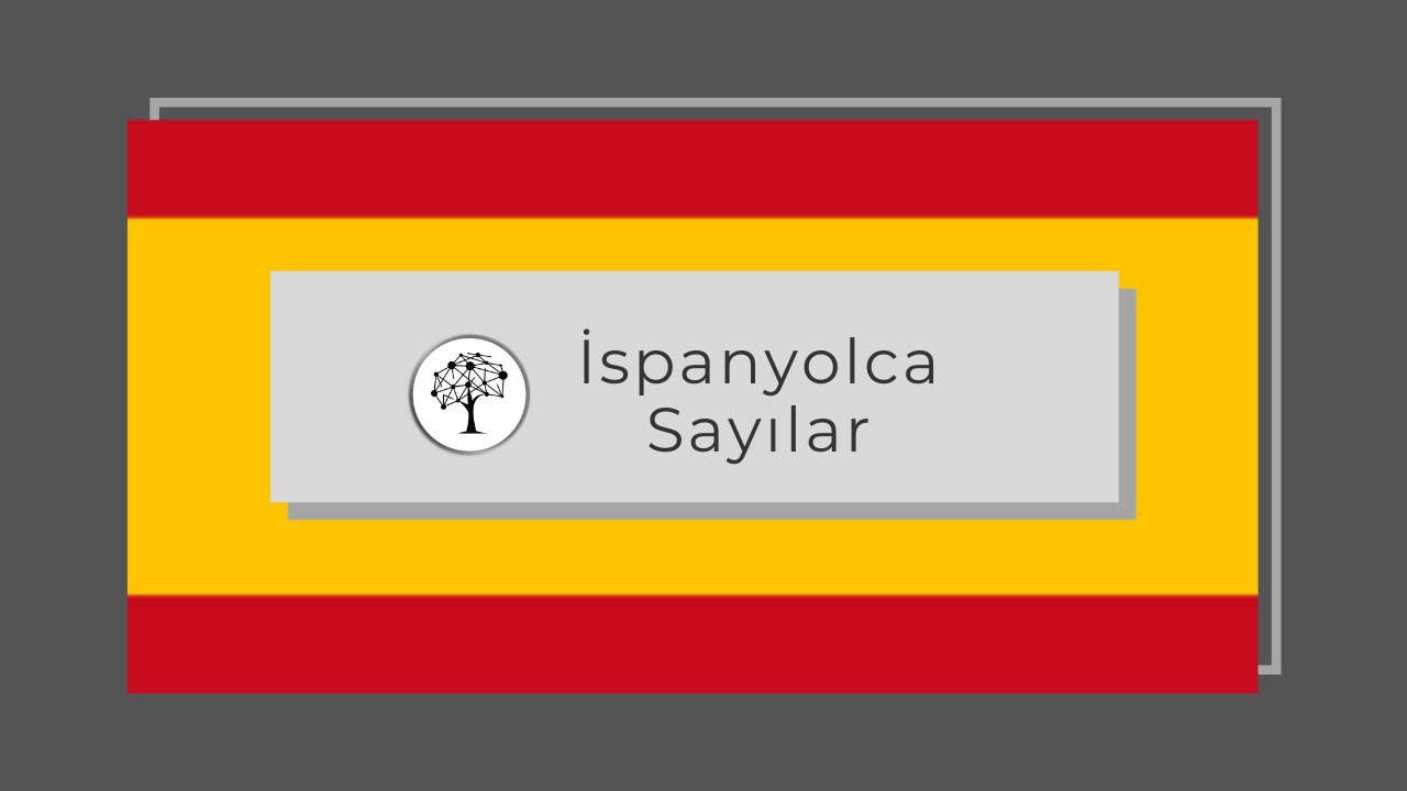 İspanyolca Sayılar ve Okunuşu