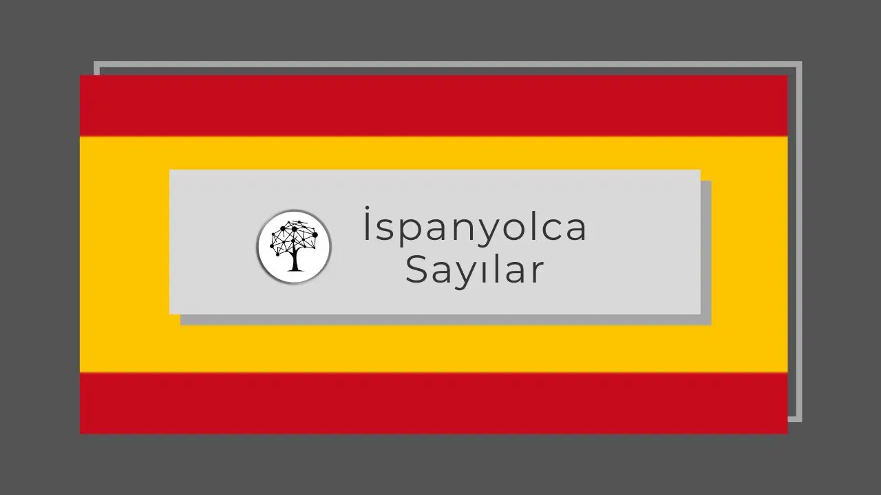 İspanyolca Sayılar ve Okunuşu