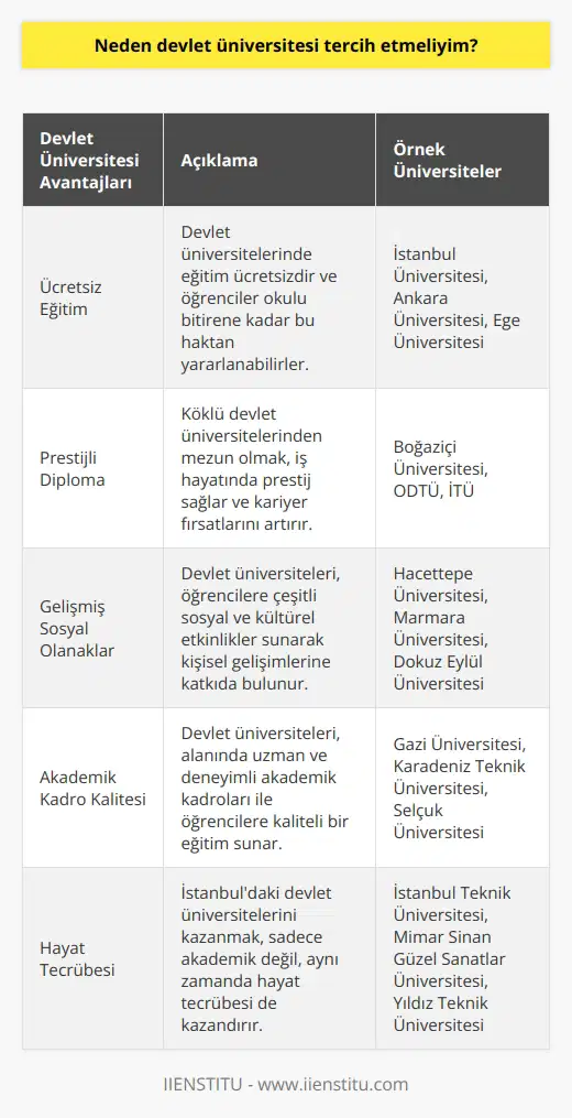 Devlet üniversitelerinde okulunuz bitene kadar ücretsiz eğitim alma hakkı kazanırsınız. Özellikle köklü bir devlet üniversitesi kazanırsanız okulu bitirdikten sonra gireceğiniz işyerinde prestijiniz olur. İstanbul devlet üniversitelerini kazanırsanız bir nevi hayatı da öğrenirsiniz.
